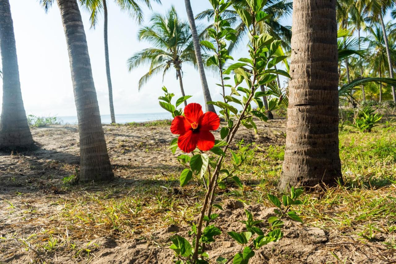 Hibiscus Beach House Pangani ภายนอก รูปภาพ